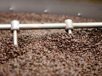 De Etiopía a Starbucks: el amargo sabor del café