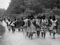 Zapatistas: lecciones de auto-organización comunitaria