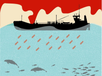Un peligro más para el Mar Argentino: las exploraciones sísmicas